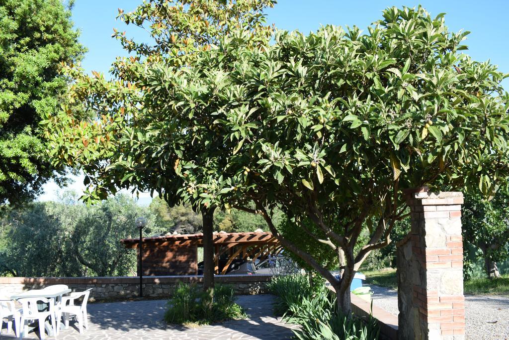 Agriturismo Amina, Winery & Hiking Vagliagli Exteriör bild